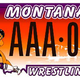 Illustration for article titled The Ten Worst State License Plates